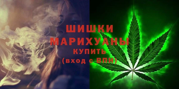твердый Бородино