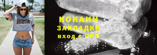 твердый Бородино