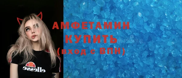 твердый Бородино