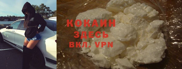 твердый Бородино