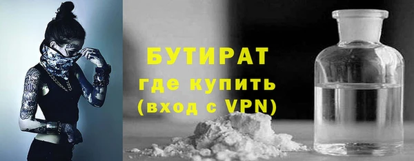 твердый Бородино