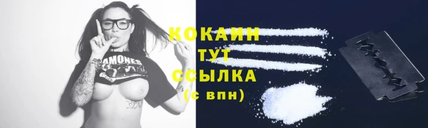 твердый Бородино