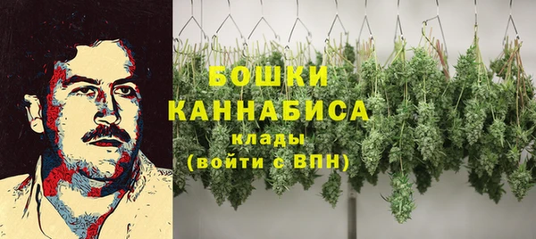твердый Бородино