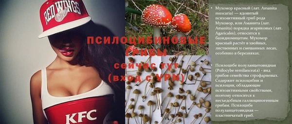 твердый Бородино