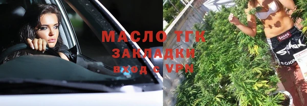 твердый Бородино