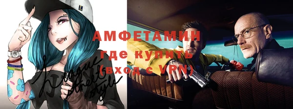 твердый Бородино